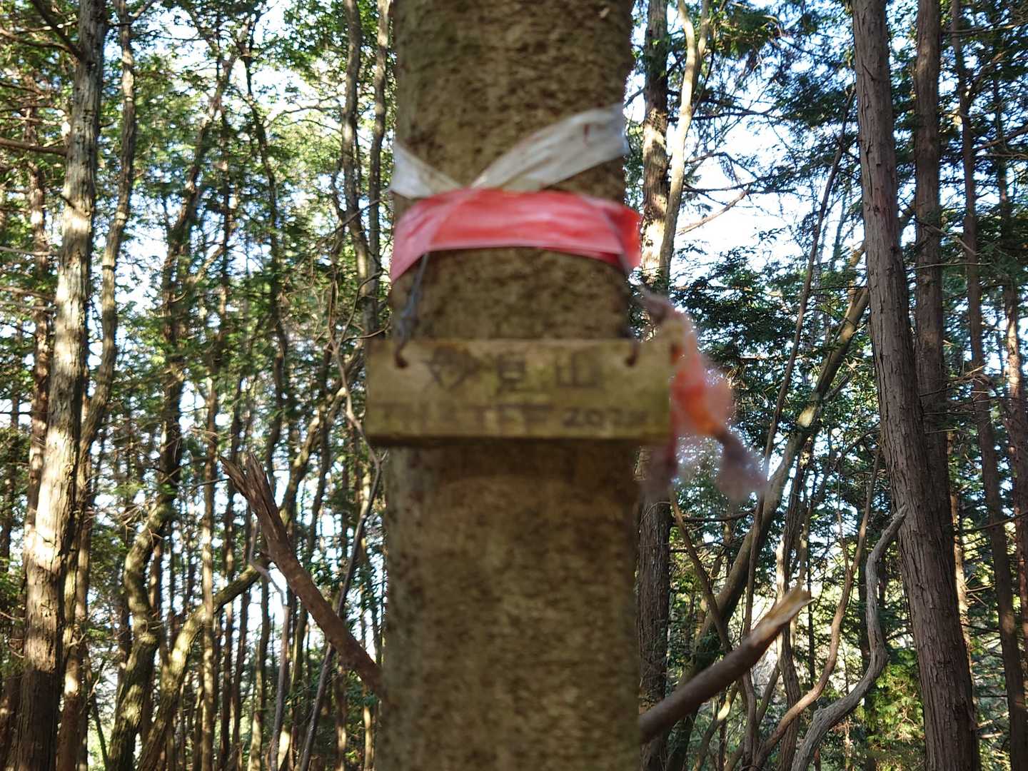 標高は201mと低いですが､妙見山山頂🚩にたどり着きました🙆
まだまだリハビリ中なので､ 登って来たルートを引き返すこととします。