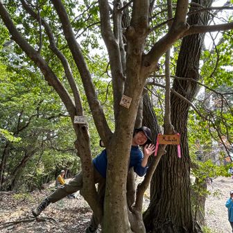 天王山もあちこちにいっぱい道標がありました！