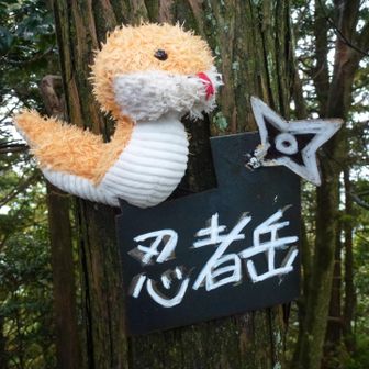 本物ピーク忍者岳🥷