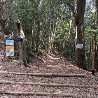 唐釜を戻って来ました。
今日は7組の方と出会う。
先週は8組、その前の週は9組。

山頂が通り抜け出来なくなったせいか、唐釜を通る人が増えているのかな〜。

それまではこの時間帯では誰とも会うことはなく。