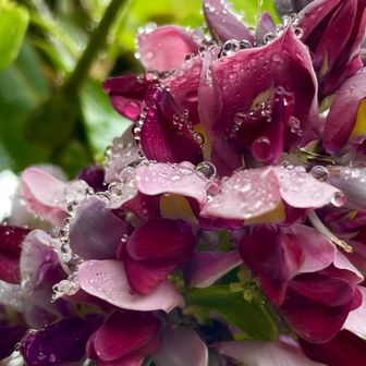 自身の事ながらクズ人間にとっては希望の花(葛の花)🌸です🤗

お疲れ様でした🥳