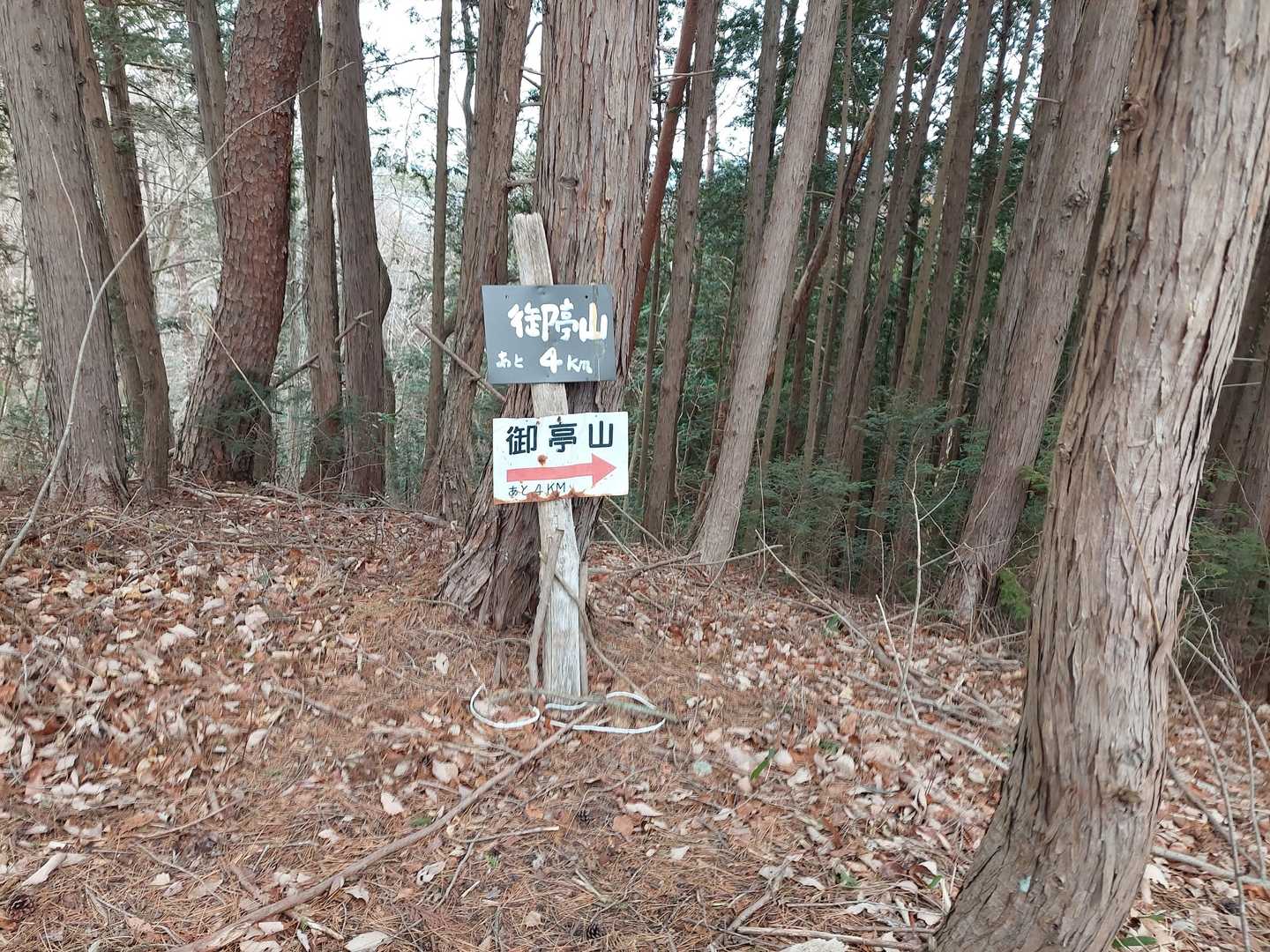 御亭山登山口-飯綱山 周回コースの写真