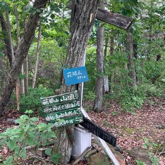 荻根山591m