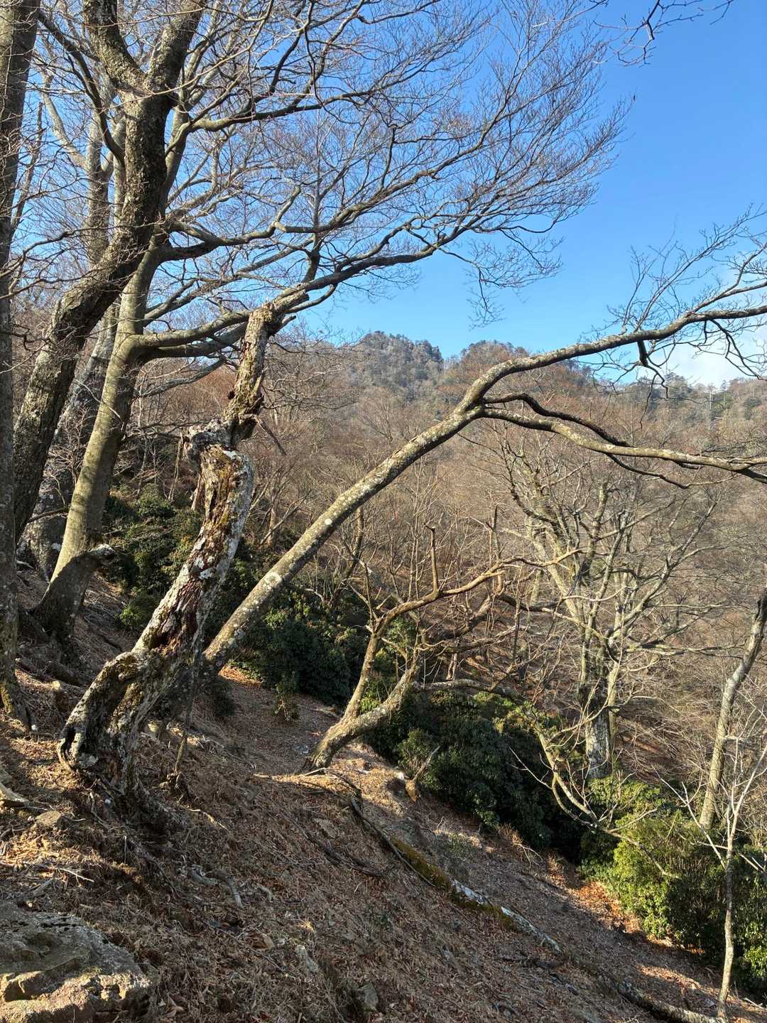 でもロケーションは最高です！
東傾からはポール突いてだいぶ楽になった