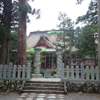 神社向かいの池から見た神社。