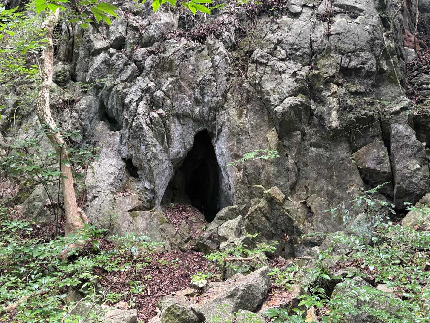 昔々の銅採掘孔の跡だそうな⛏️