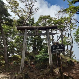 赤薙山手前から突如ガスガスに・・・