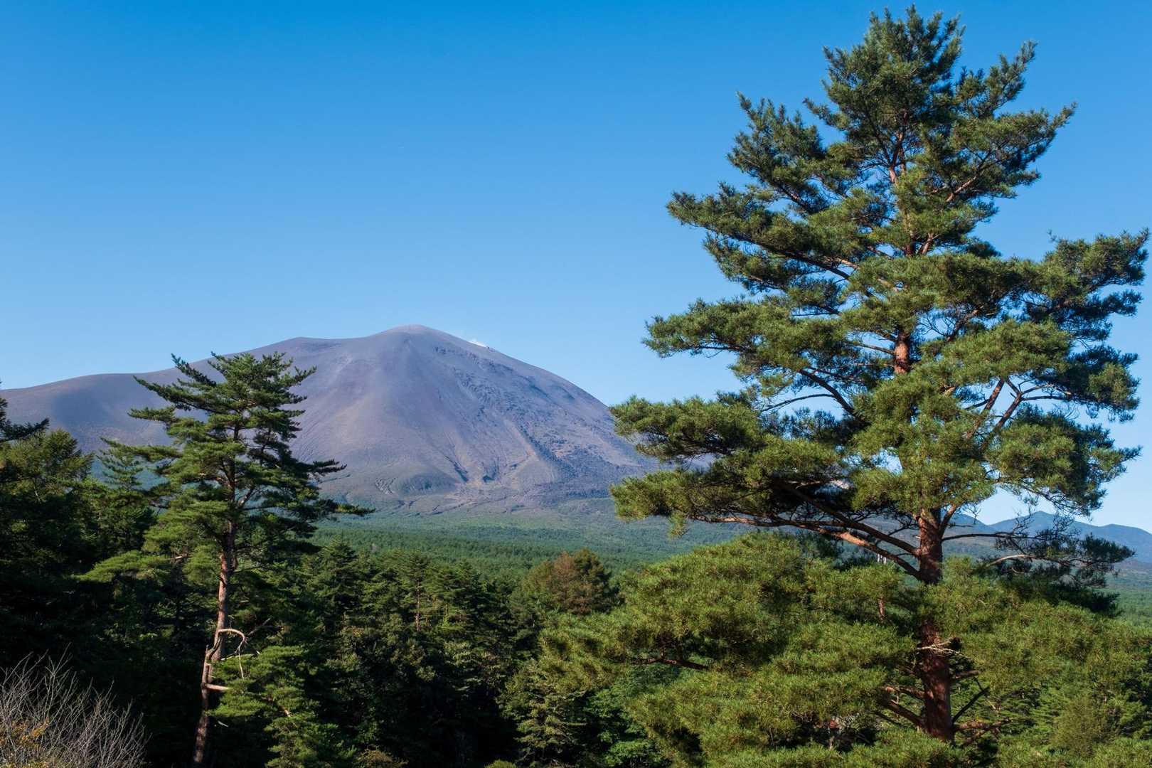 早速の【浅間山】‼️
