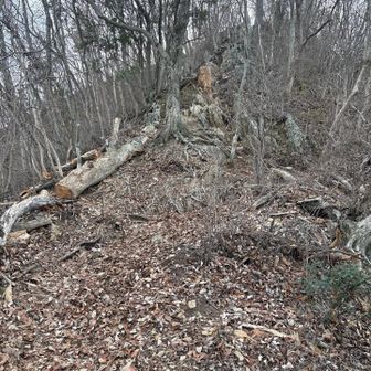 鎖場降りた後〜