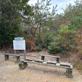 菅田山頂上ベンチ