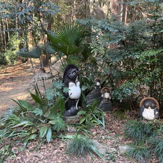 小仏峠を通過。この後は小仏城山まで登りが続く。登りだと左足首の痛みは軽減する。