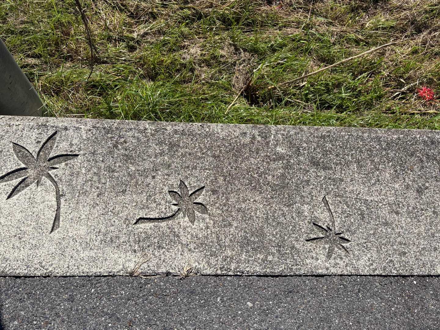 アスファルト道サイドのセメントに遊び心🍁みっけ👍