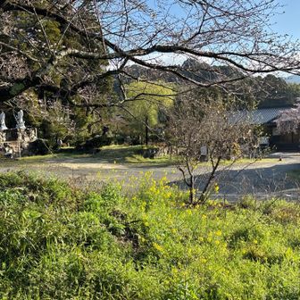 お寺の駐車場🅿️へと