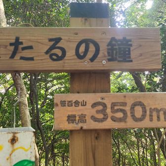 笹百合山
定番の「山頂とは何ぞや」、自問自答が始まる(笑)