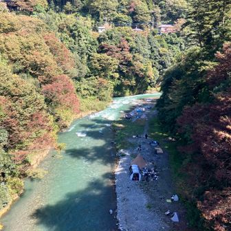 キャンプ場⛺️