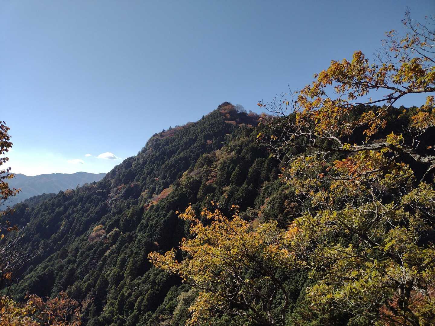 あの先が錫杖ヶ岳🚩だね
人がいる