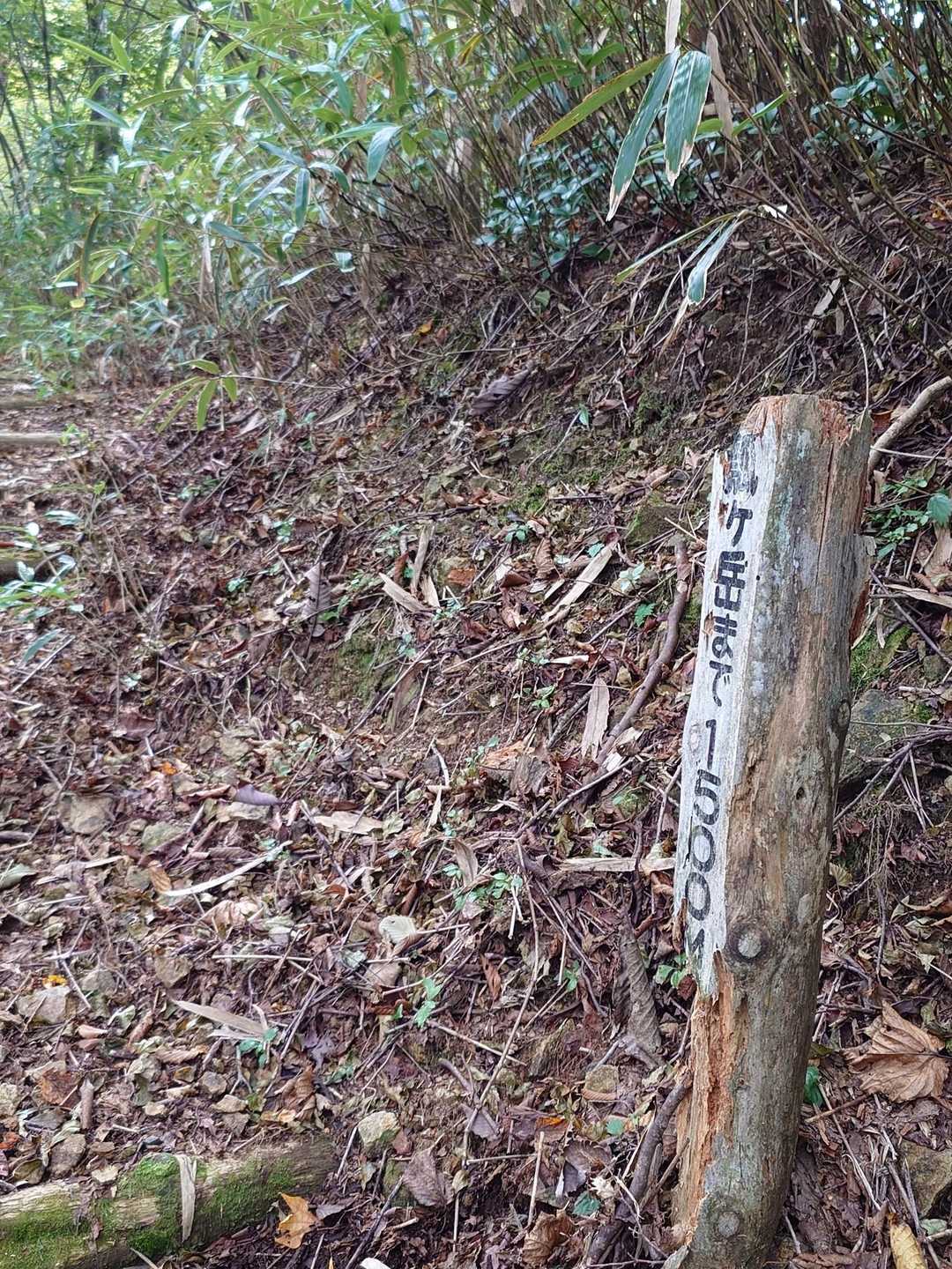 山頂まで１．５Km、早ぁ 🥹