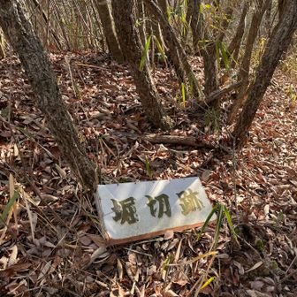 堀切跡から細い山道を進む　ここが分かりづらかった💦