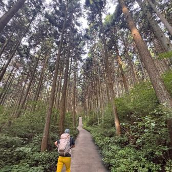 水沢観音様の駐車場🅿️からスタート⤴️

ここの登りが地味に効いてくる😅