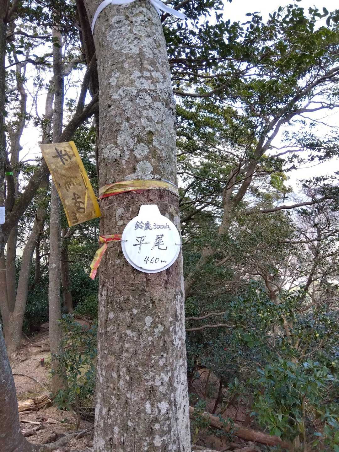 雨引山-平尾 周回コースの写真