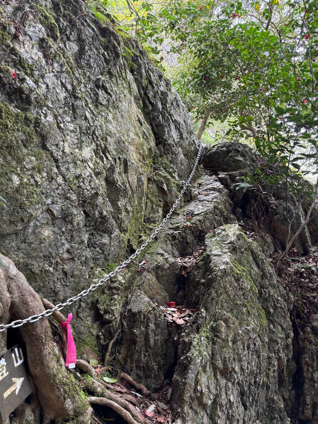 御嶽&小金ヶ嶽でよく見る鎖場