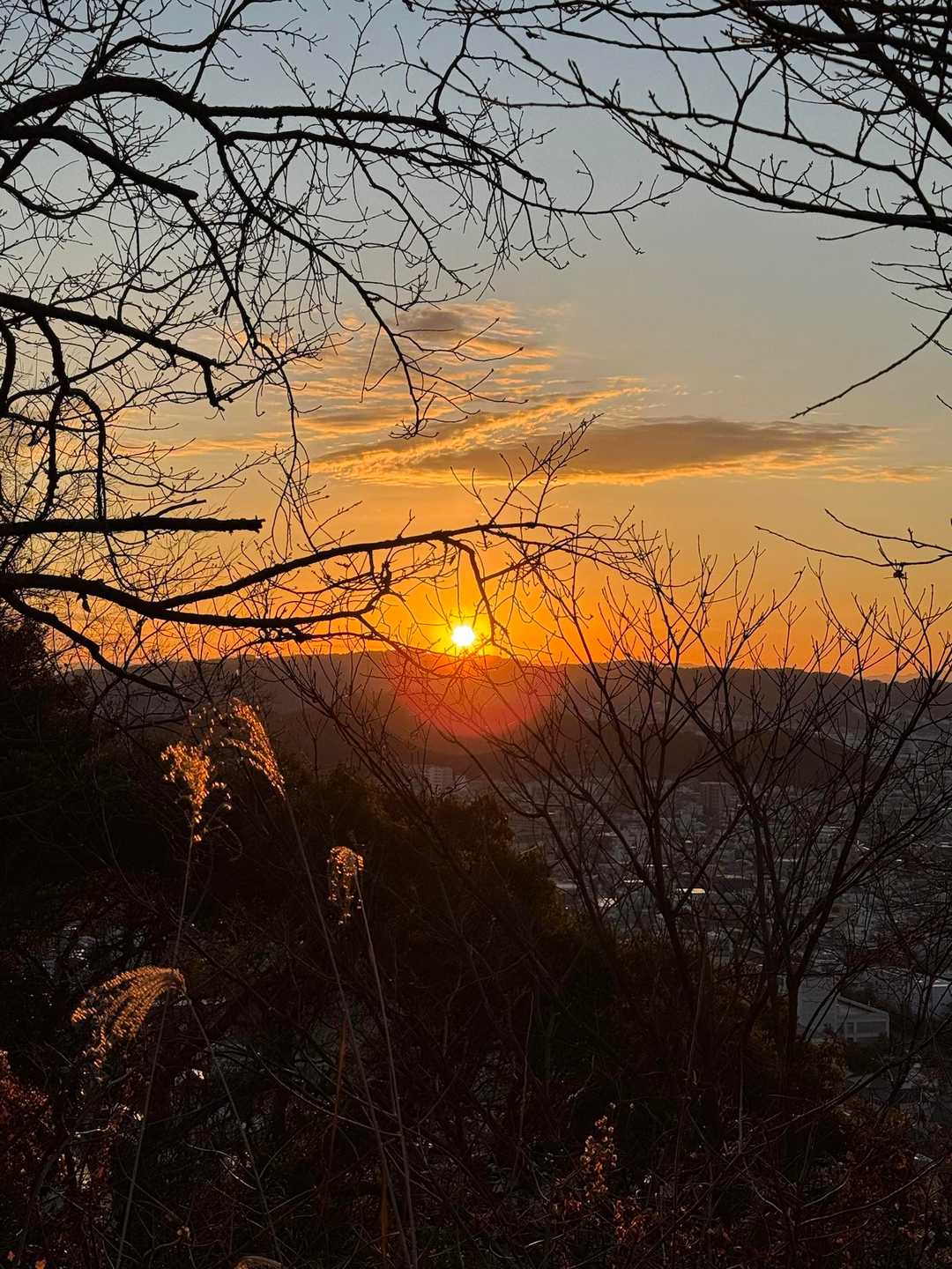 日の出☀️綺麗だなぁ