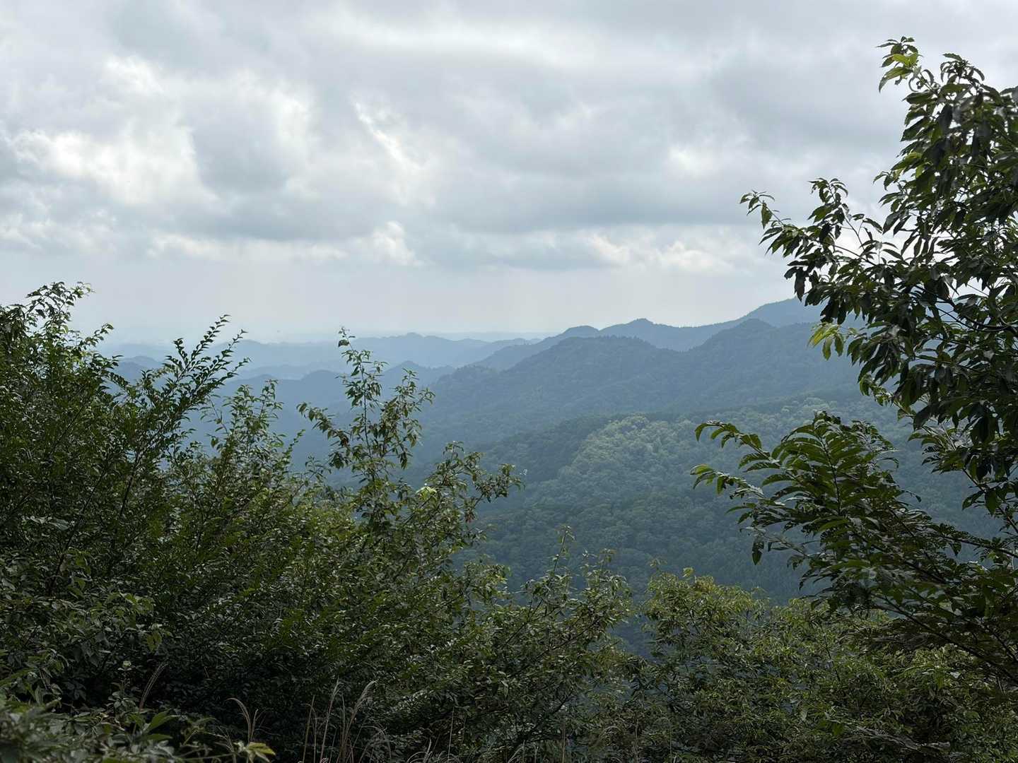 一瞬視界が開けて、山々が臨めたので📸
青梅・奥多摩の方かな〜⁈