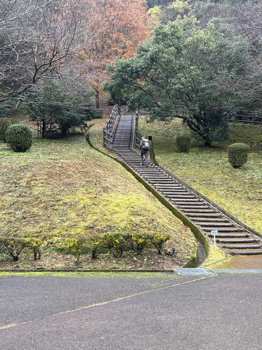 登山口⛰️いきなりの階段です、が歩幅は小さく歩きやすいです🚶
