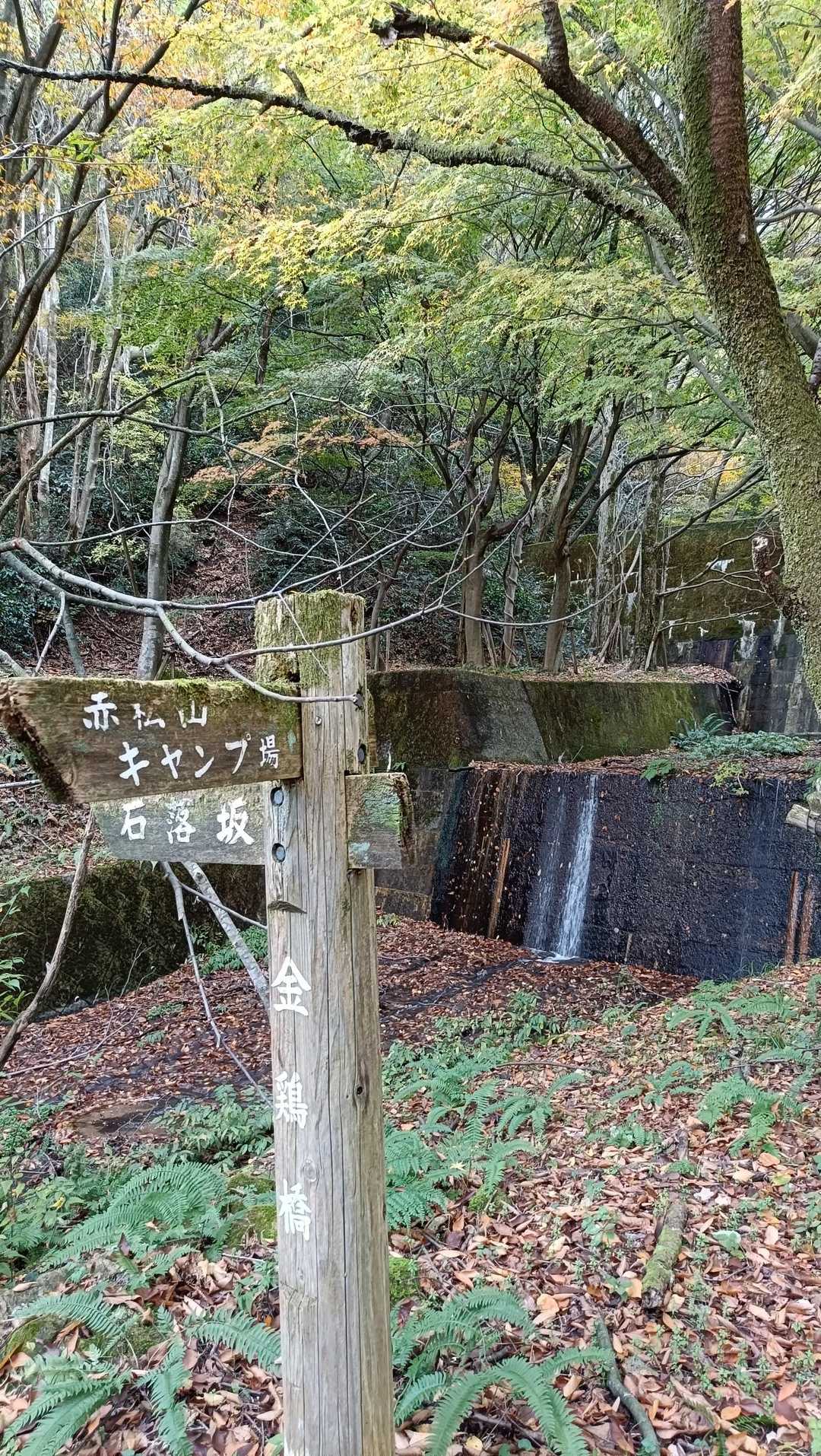 こちらから登山口へ