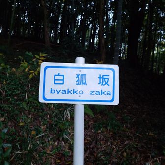 白狐坂だったのですね🦊