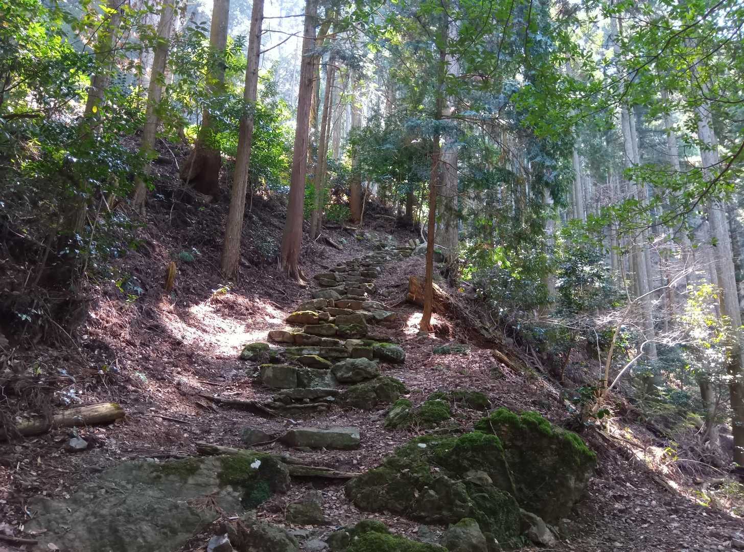 愛宕山 周回コースの写真