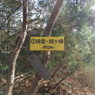 
先程いた 城ヶ峰 山頂に 戻ってきました
ルート が つながりました
城ヶ峰 山頂標識 - 3 を 収めました
