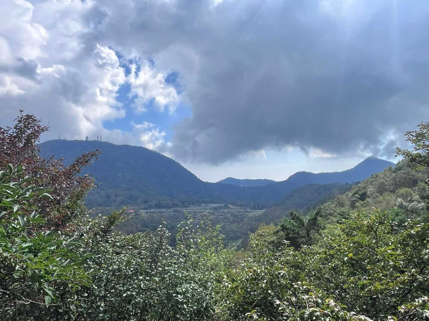姥子山-鍬柄山-鈴ヶ岳 往復コースの写真