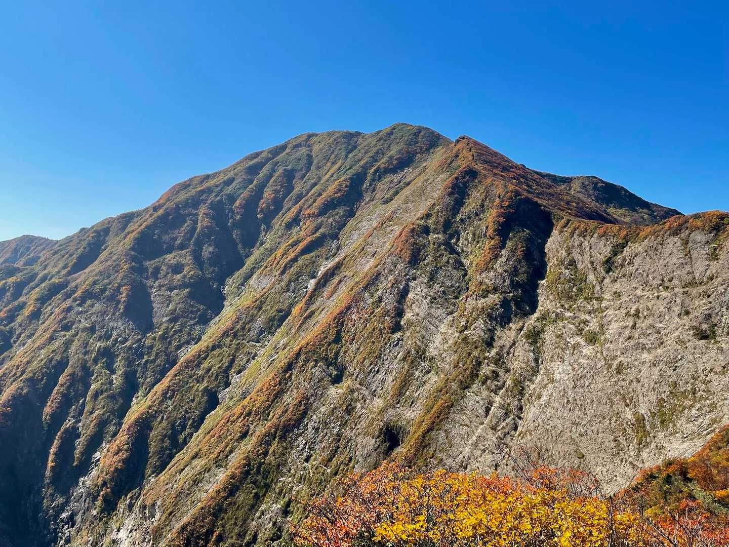 紫ナデ-小障子-障子ヶ岳-粟畑-天狗角力取山-焼峰 周回コースの写真