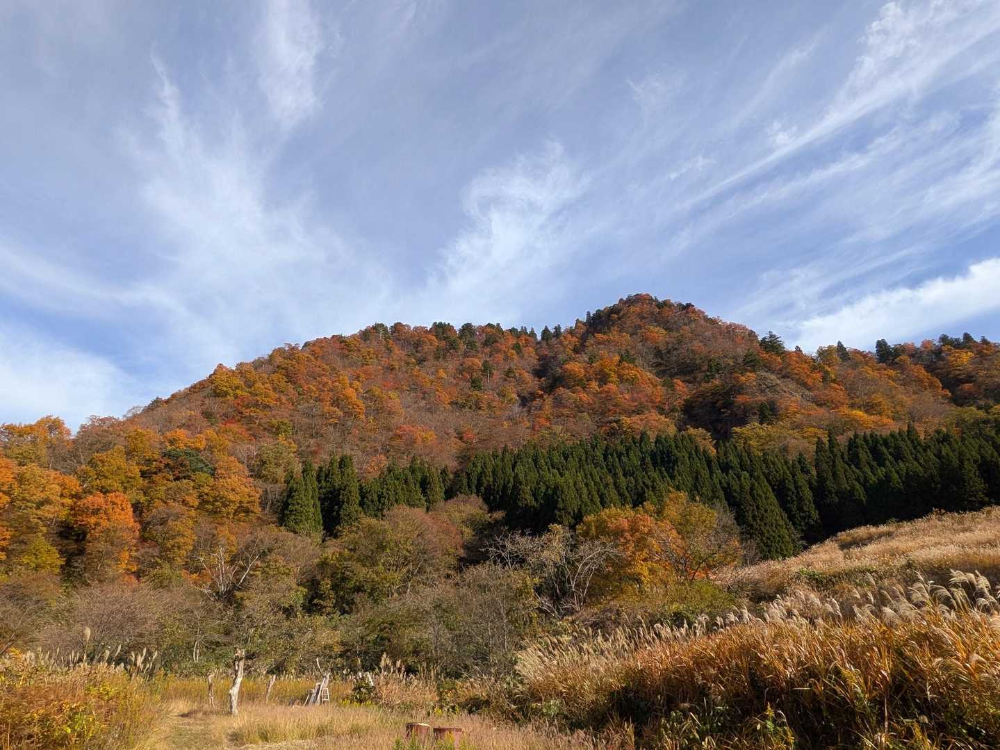 谷折に下りてきた