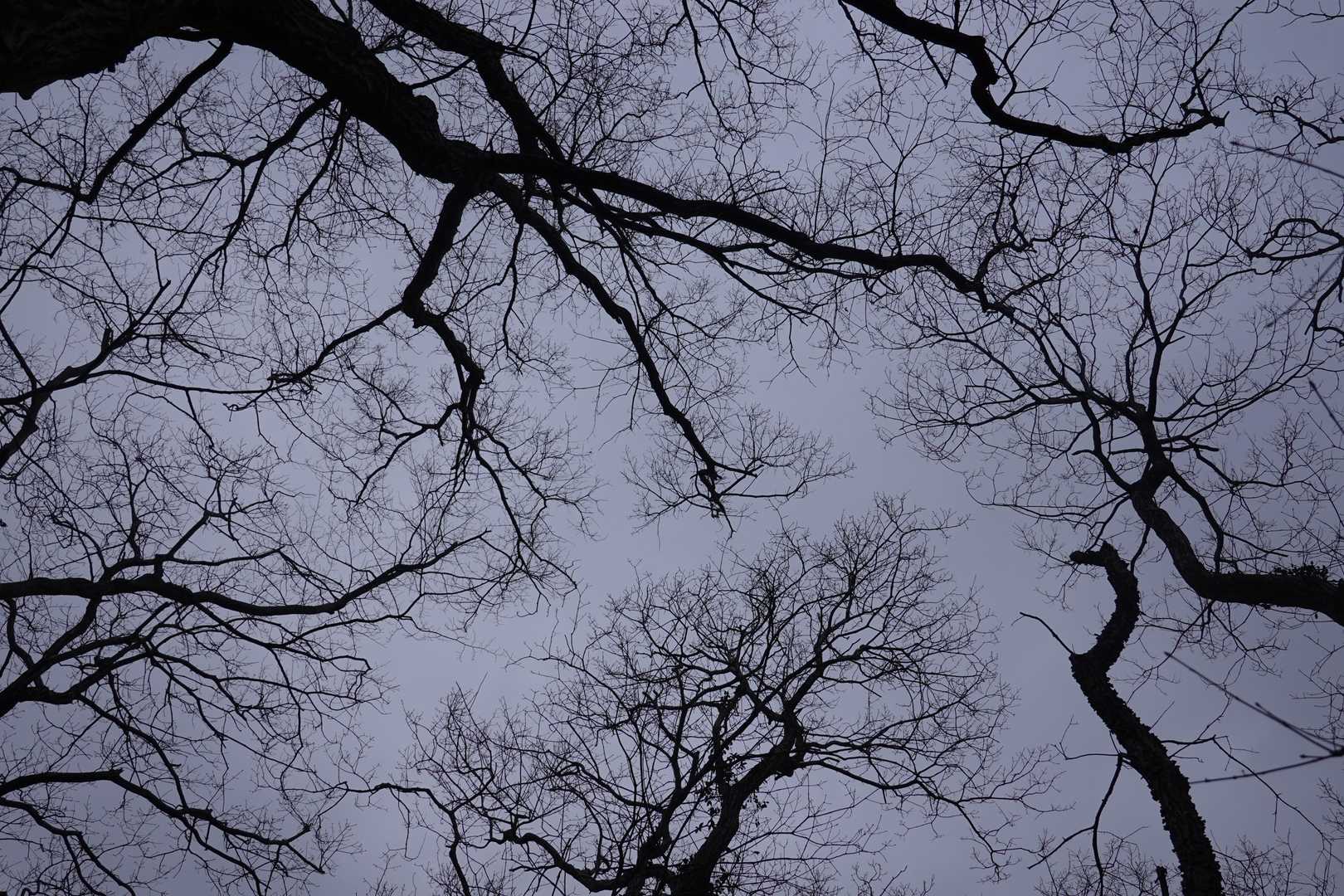 曇りなので登山客は一人しか見かけなかった