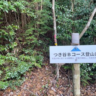 樹林帯を抜けたとこに綺麗な看板
登る時はこれが無かったら取り付きが分からなさそう