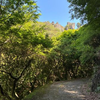 錦屏風