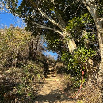 北峰直下のロープが新しくなってる