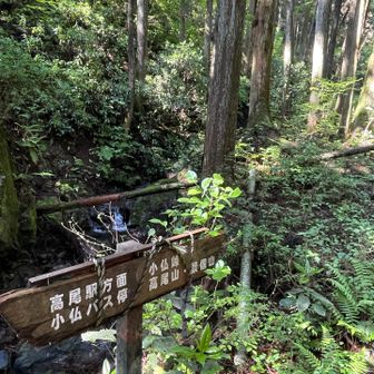 涼しい〜