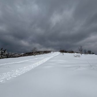 高清水までいきますか