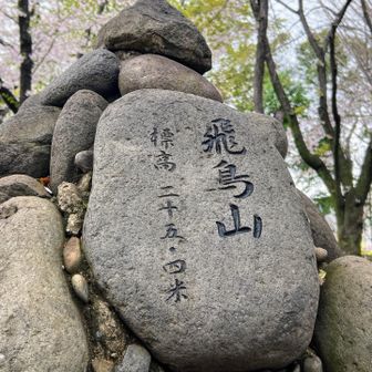 YAMAPが山として認識する飛鳥山