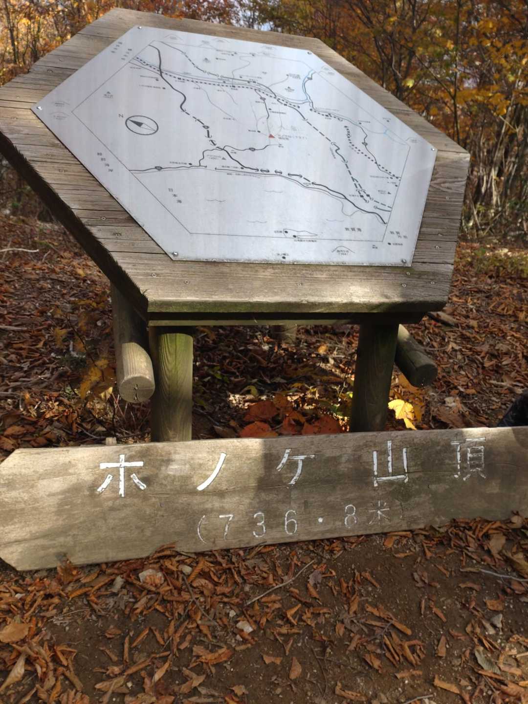 ホノケ山頂（736.2㍍）✨