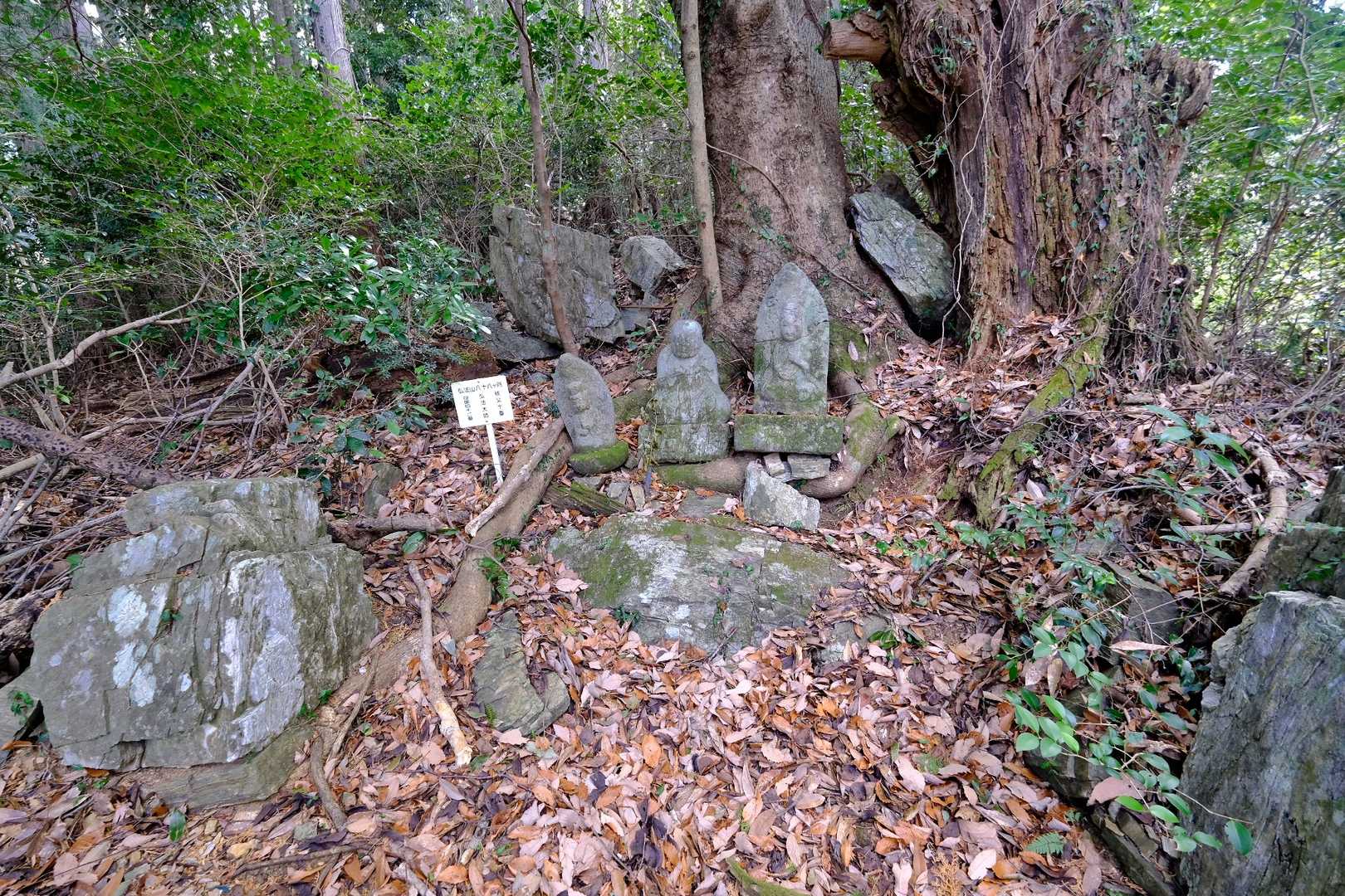風切山 往復コースの写真
