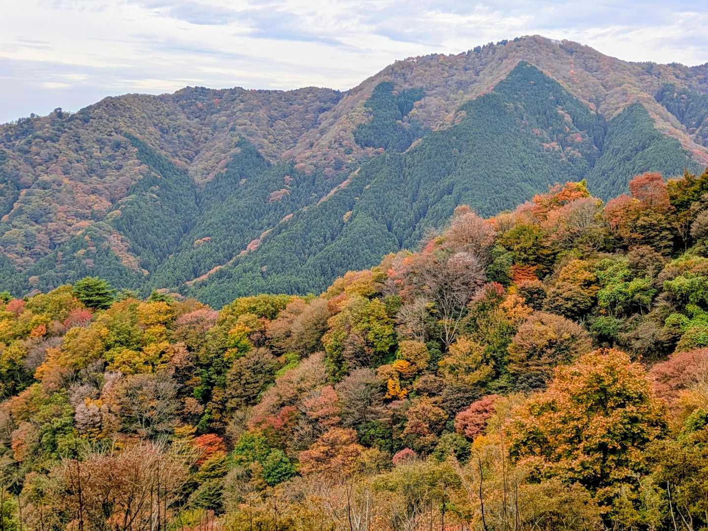 堀坂山の山肌にもう一つ山が見える🤩ホーム界隈で隠れミッキーとか呼ばれてたっけ🐭