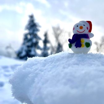 六花亭のクリスマスケーキについてた⛄️