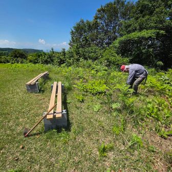 ベンチの周りも草がのびてます！
来週は、枡形山までの草刈作業です！🌿