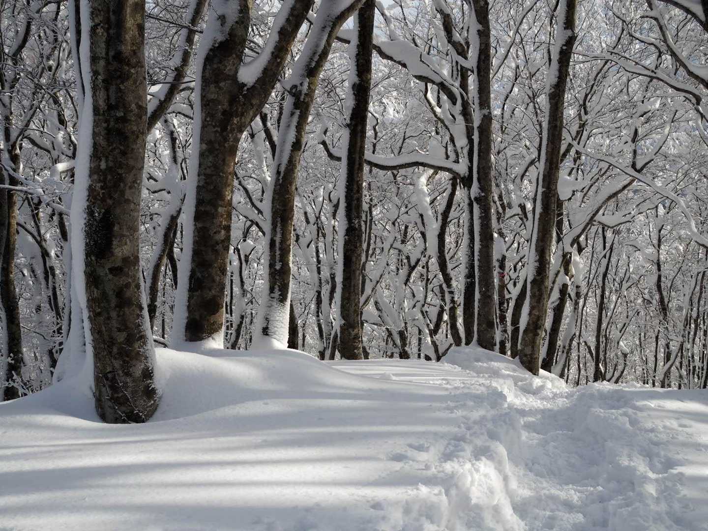 映え写真をとるスキルがなさすぎて、、指先も冷たくなってきたので諦めます💦