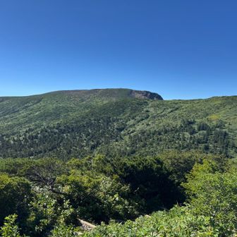 振り返って、あそこが地蔵山⛰️