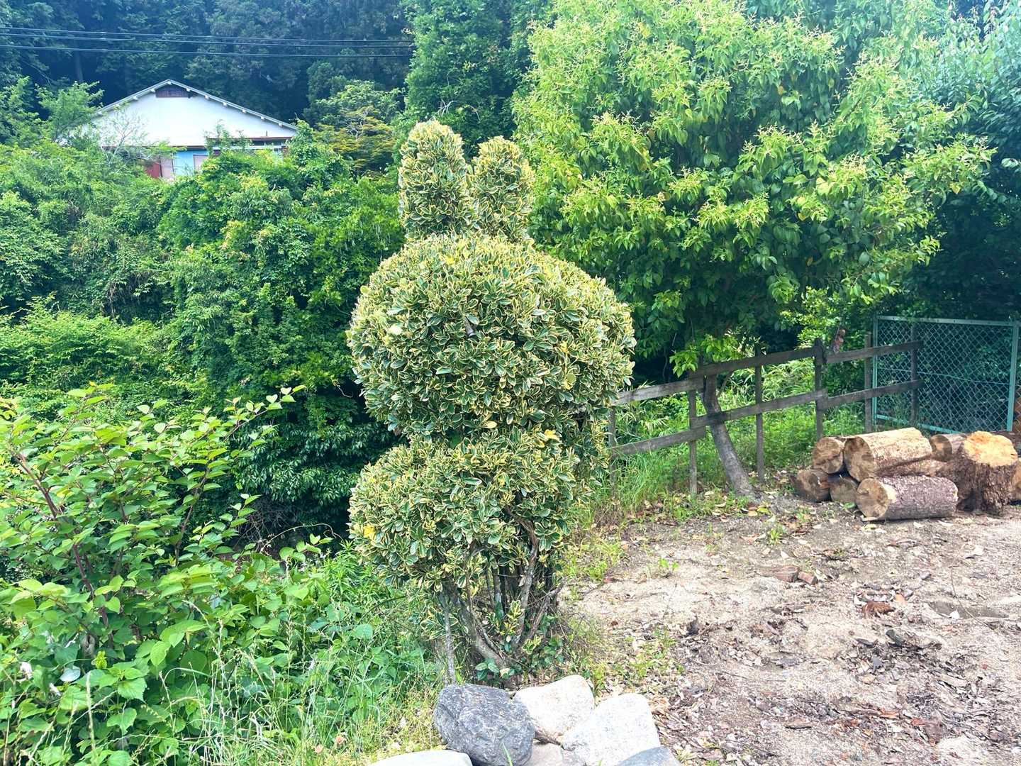 うさぎかな
なんか可愛い😍